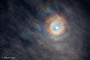 Look at the moonlight